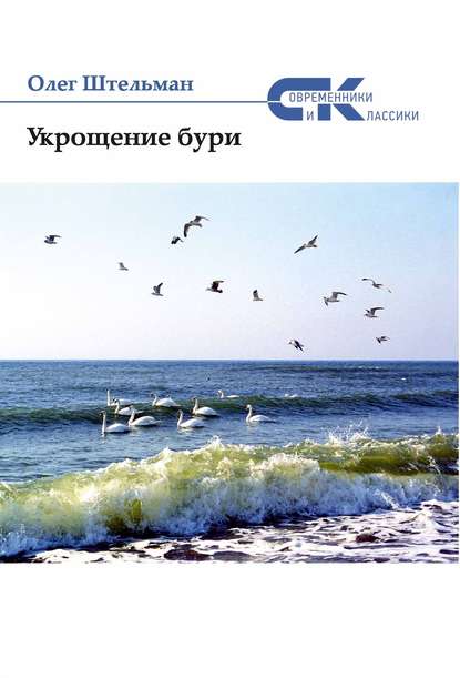 Укрощение бури (сборник) — Протоиерей Олег Штельман
