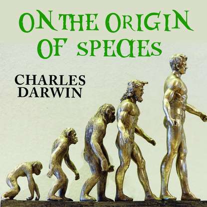 On the Origin of Species — Чарльз Дарвин