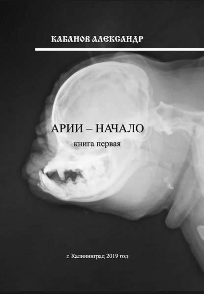 Арии – начало. Книга 1 — Александр Кабанов