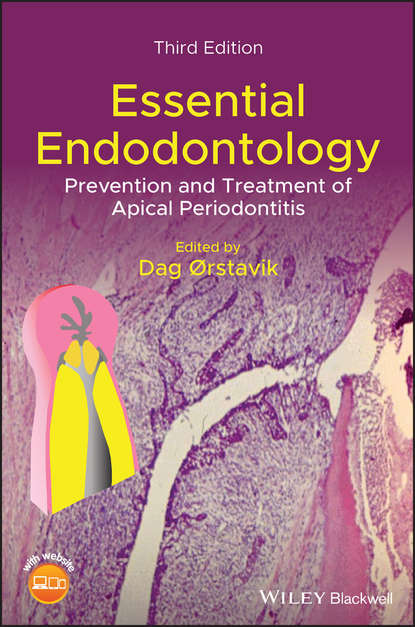 Essential Endodontology — Группа авторов