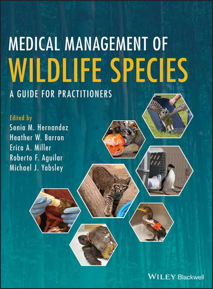 Medical Management of Wildlife Species — Группа авторов