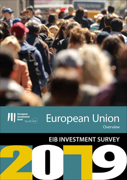 EIB Group Survey on  Investment and Investment Finance 2019: EU overview - Группа авторов