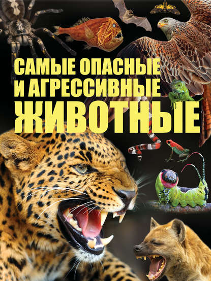 Cамые опасные и агрессивные животные — Сергей Цеханский
